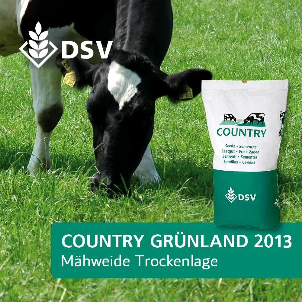 DSV Country miscela prato 20kg per terreni secchi
