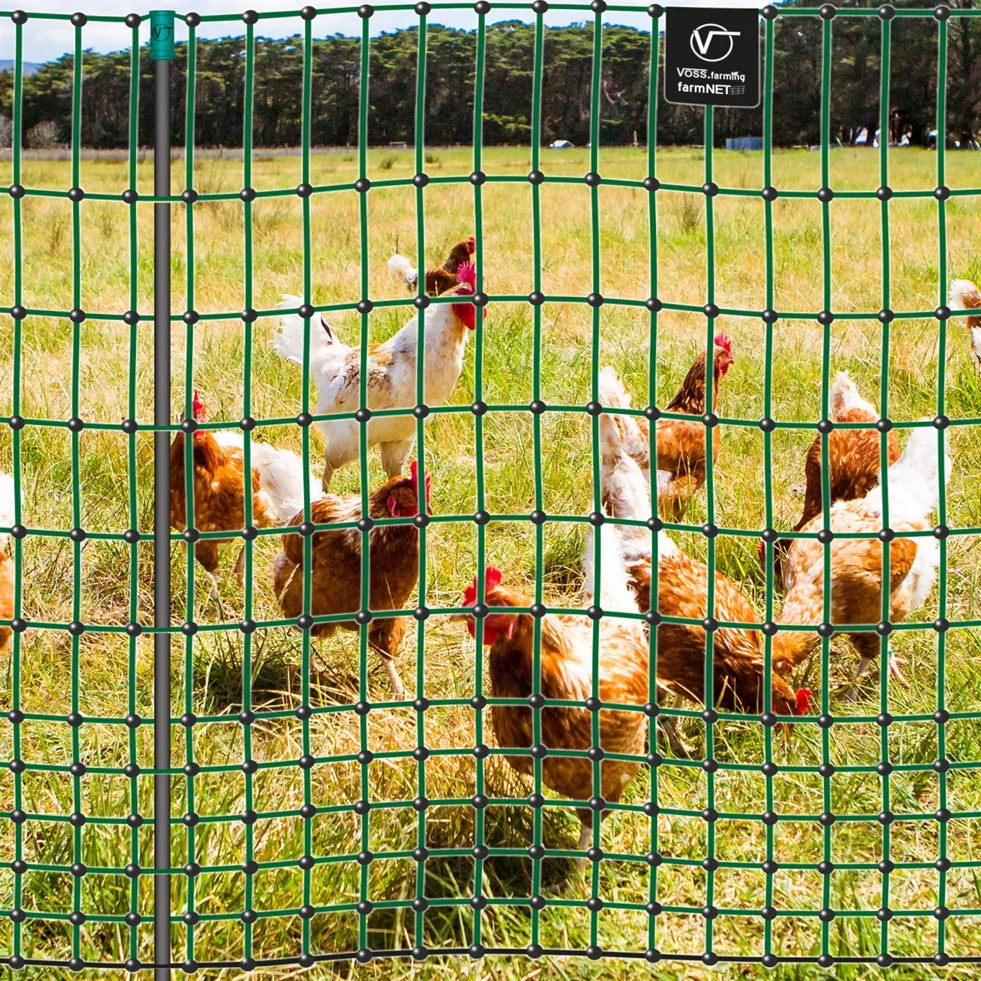 VOSS.farming farmNET rete polli 50m 112cm non elettrificabile