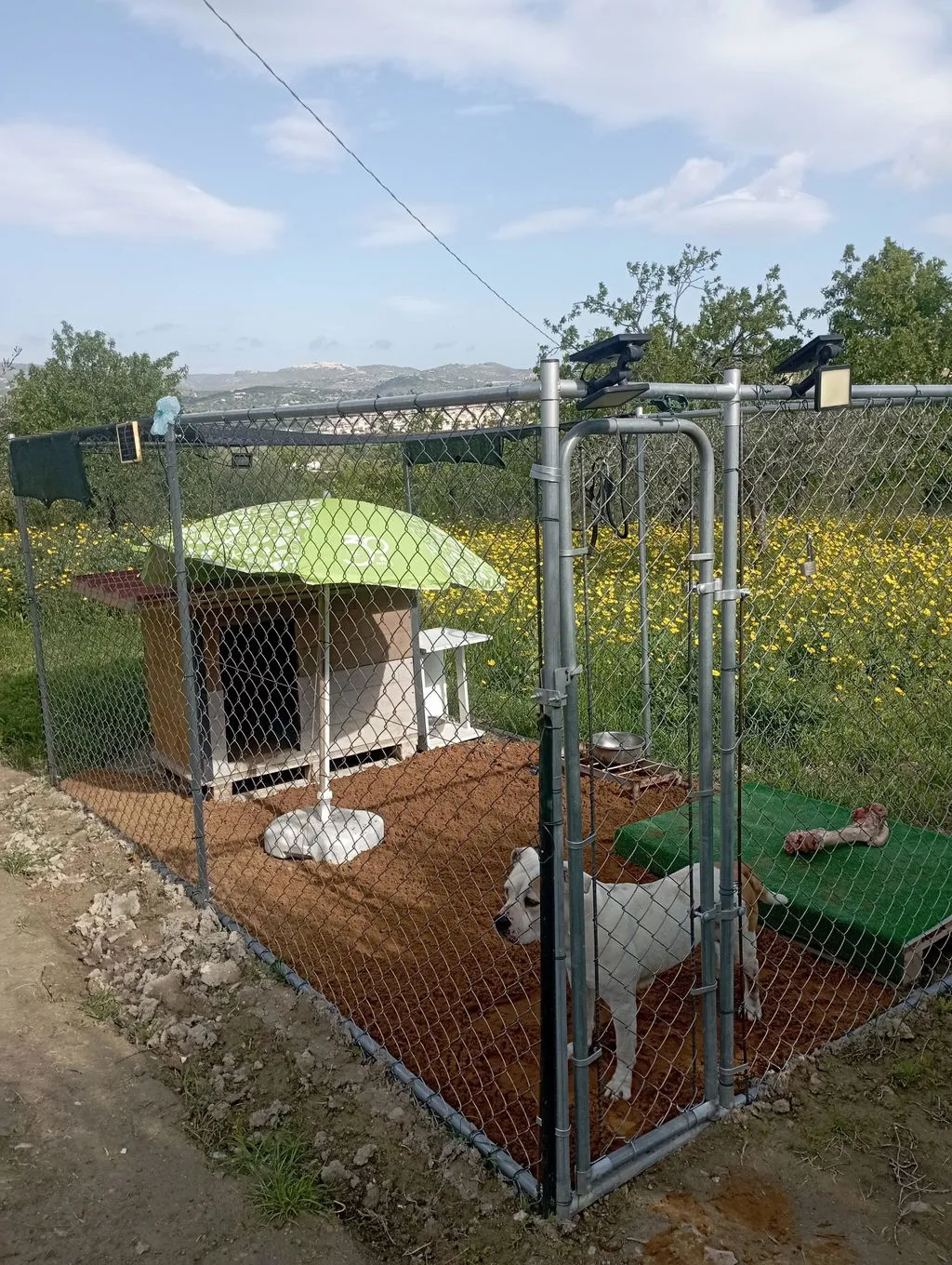 Il Verde Mondo Recinto Cani Esterno 3,96x2,28 m in Acciaio