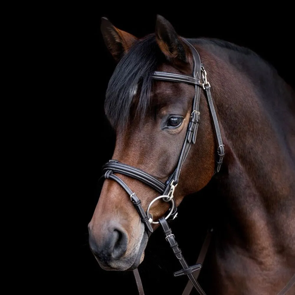 Waldhausen X-Line briglia lavoro cavallo nero Full anatomica