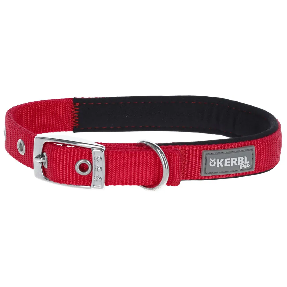 Beikircher Grünland Miami Plus collare cane petrol 33-39 cm