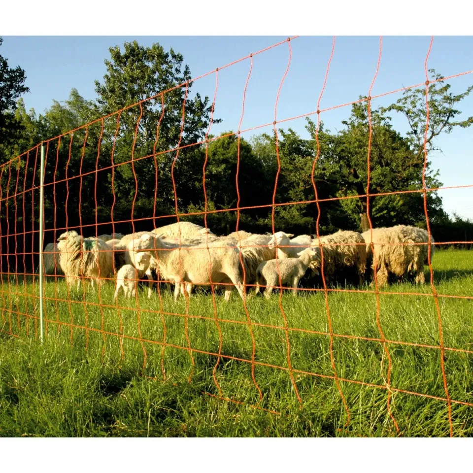 Euro-Netz Extra 90/1 rete elettrica ovini 50 m maglia stretta