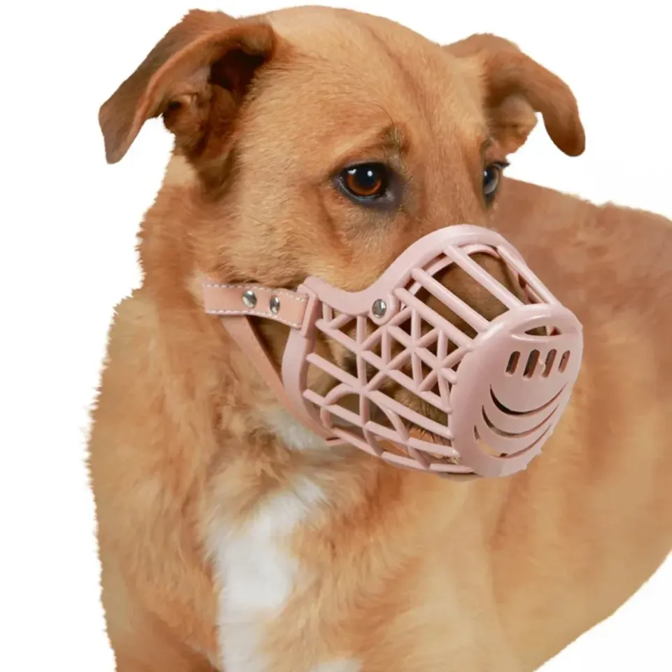 Beikircher Grunland museruola plastica beige 39 cm cane