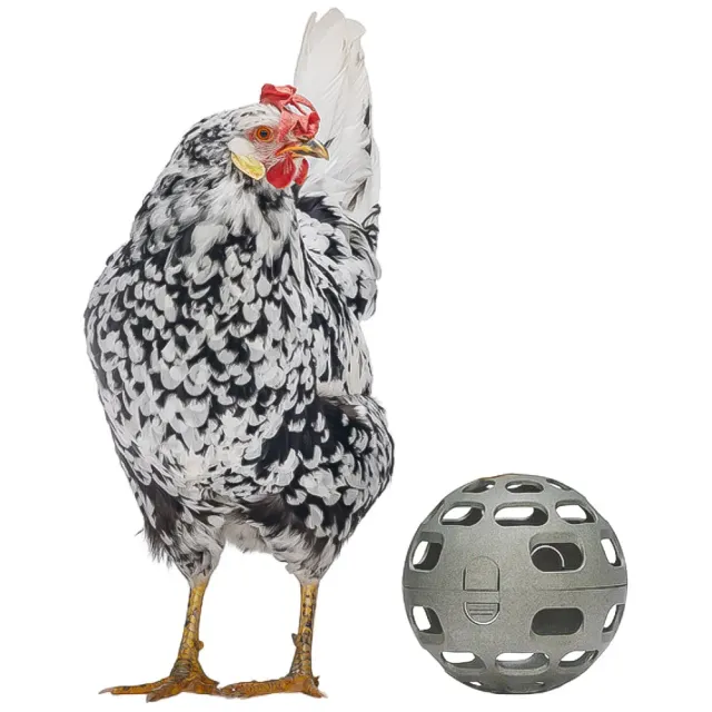 Palla snack galline plastica riciclata 150mm gioco pollaio foraggio