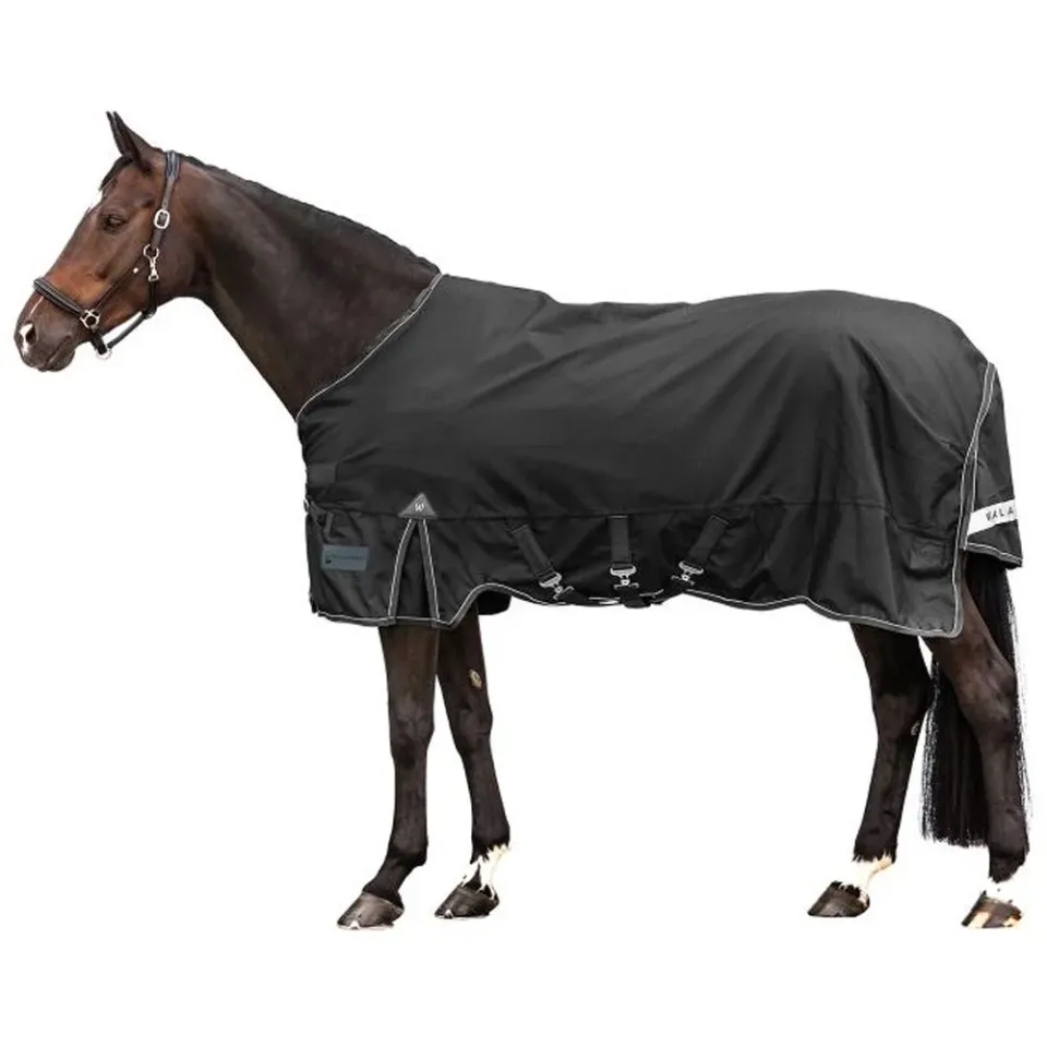 Waldhausen Scandic coperta outdoor cavallo 50g nera 145