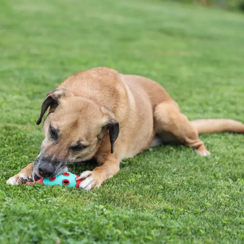 ToyFastic cono gioco per cani gomma 15x6,5cm riempibile