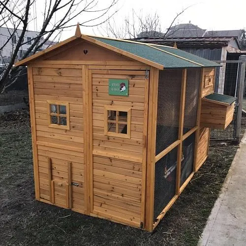 Il Verde Mondo Brahma XXXXL Plus kit pollaio legno con recinto