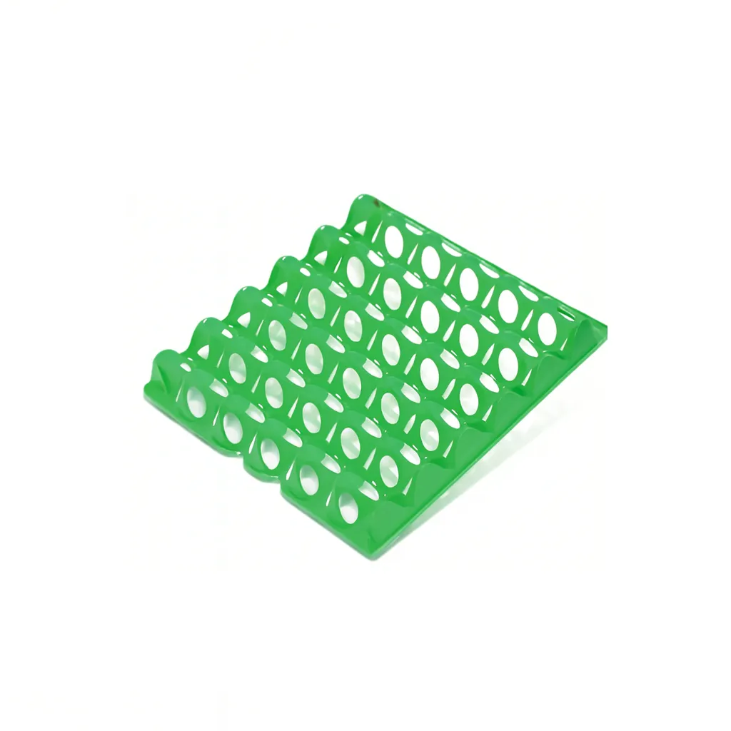Il Verde Mondo Vassoio Portauova Plastica 30 Uova Multicolore