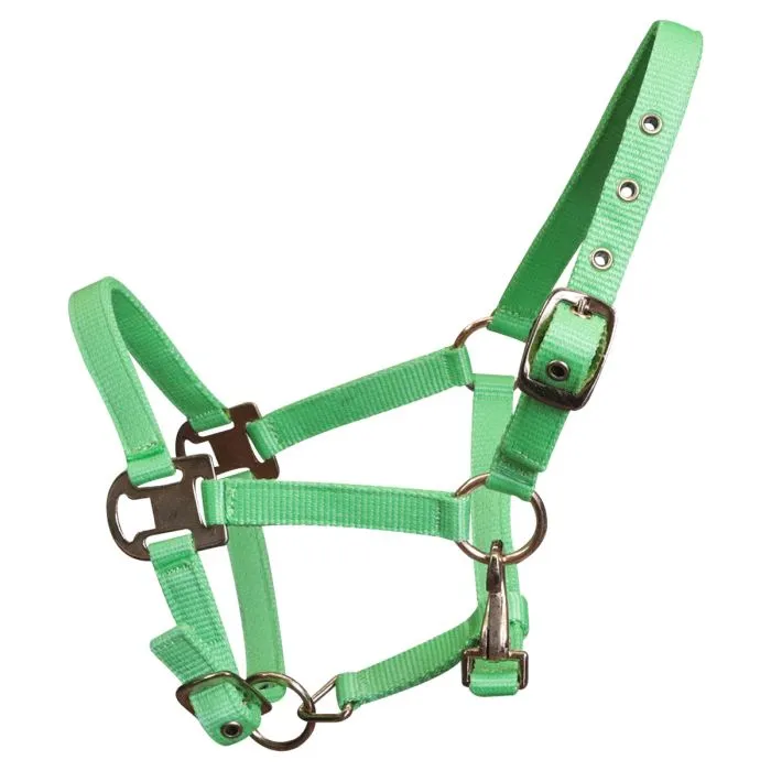 Beikircher Classic Cavezza Cavallo Nylon Doppia Treccia