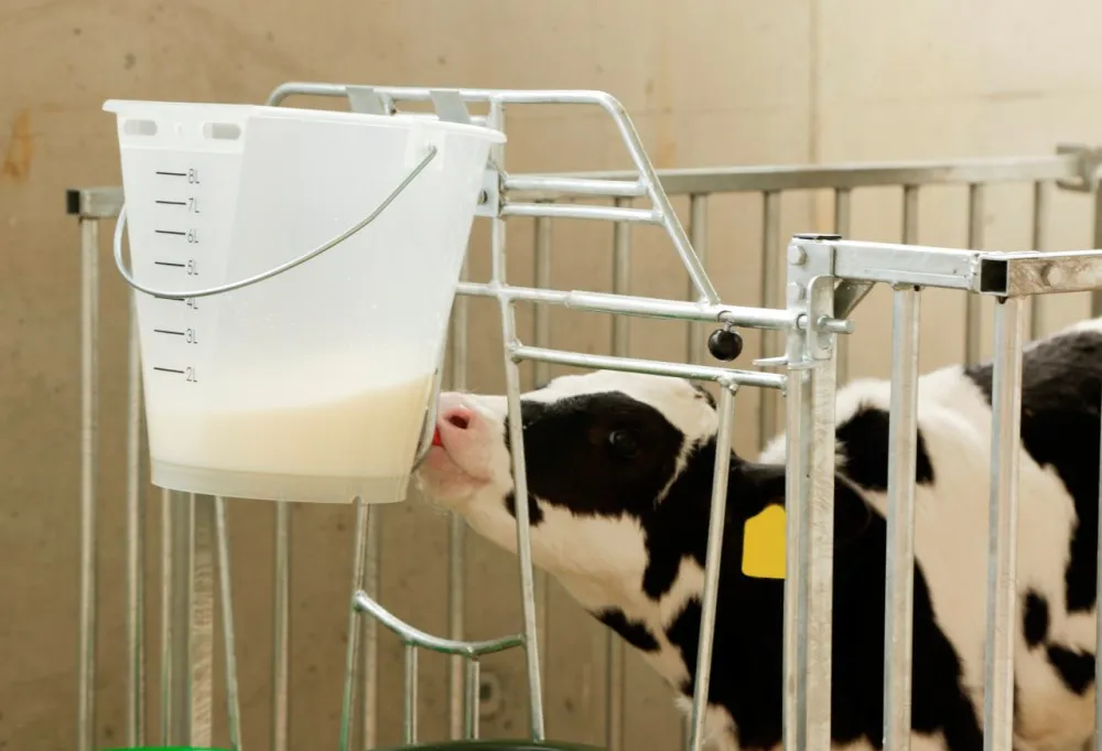 Beikircher Grünland Secchio Vitelli Trasparente 8 Litri Graduato