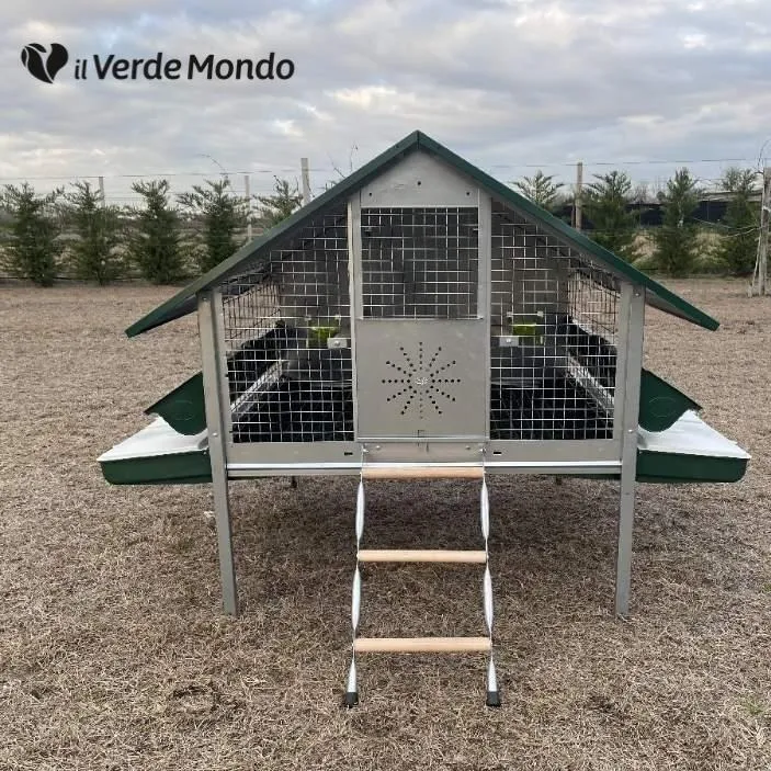 Il Verde Mondo Araucana pollaio ferro anti predatore