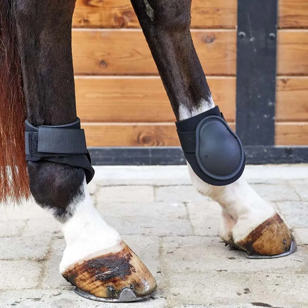 Beikircher Grünland Basic Fetlock Boots paranocche nero WB