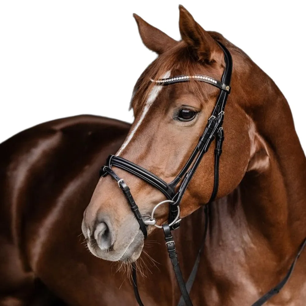 S-Line Harmony briglia anatomica cavallo Cob Full 2 frontalini