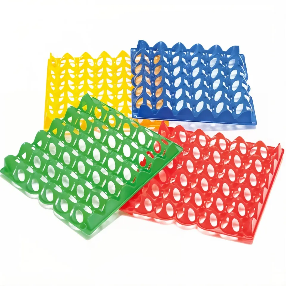 Il Verde Mondo Vassoio Portauova Plastica 30 Uova Multicolore