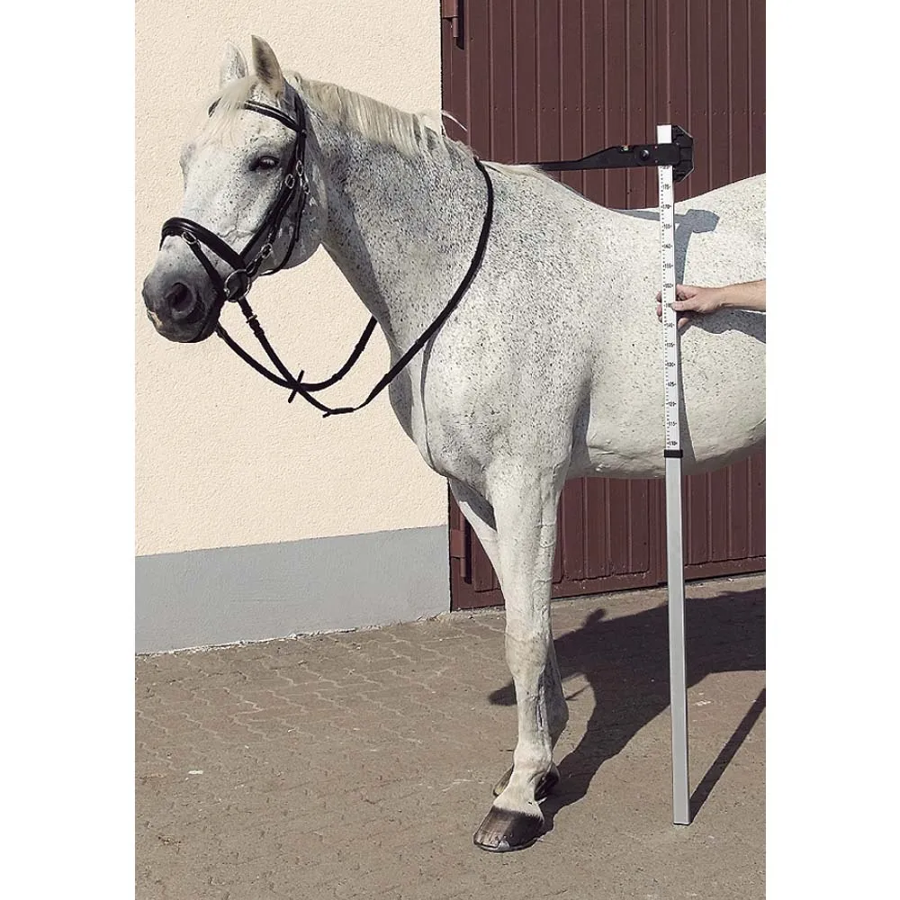 Beikircher Grünland ippometro alluminio 100-190cm livella
