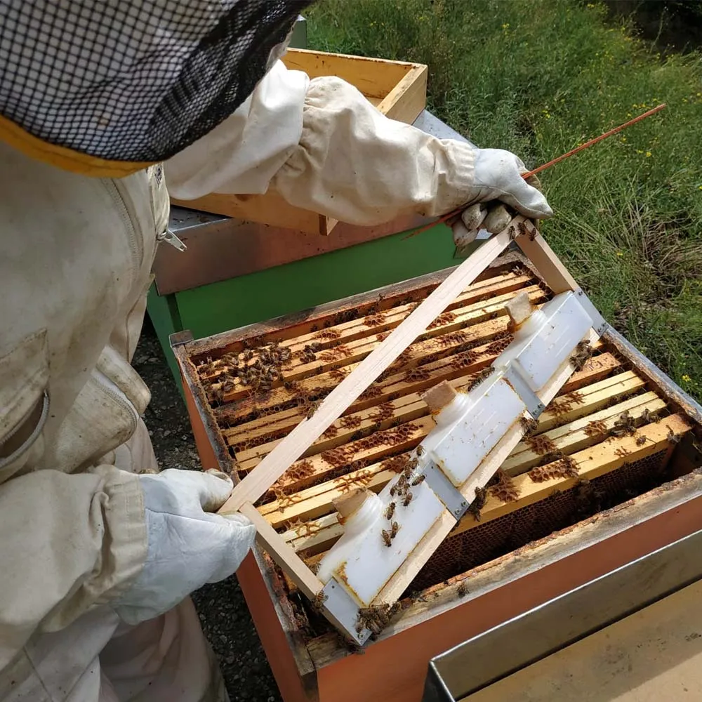 Apifor acido formico antivarroa api bottiglia 1 l