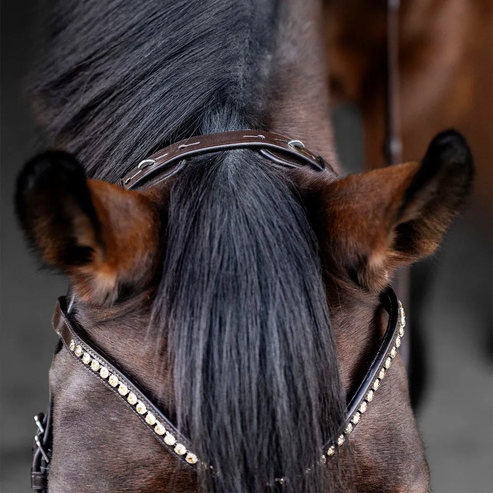 Waldhausen X-Line testiera cavallo anatomica nera WB