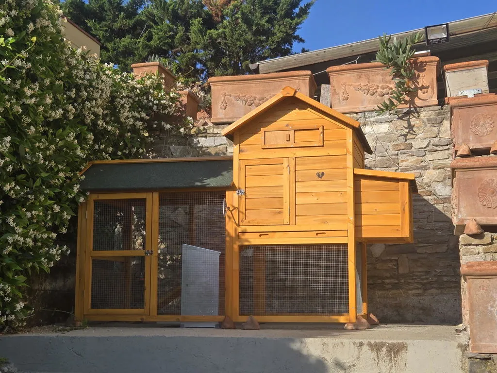 Il Verde Mondo Padovana XL Pollaio Legno 4-6 Galline Bitumato