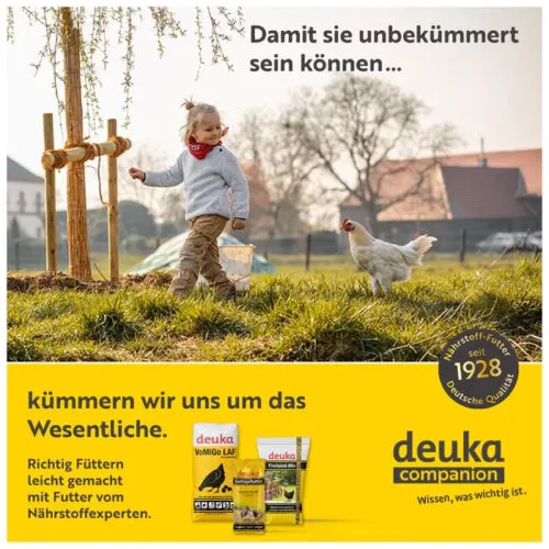 Beikircher Grünland Deuka Körner Extra granaglie galline 25 kg