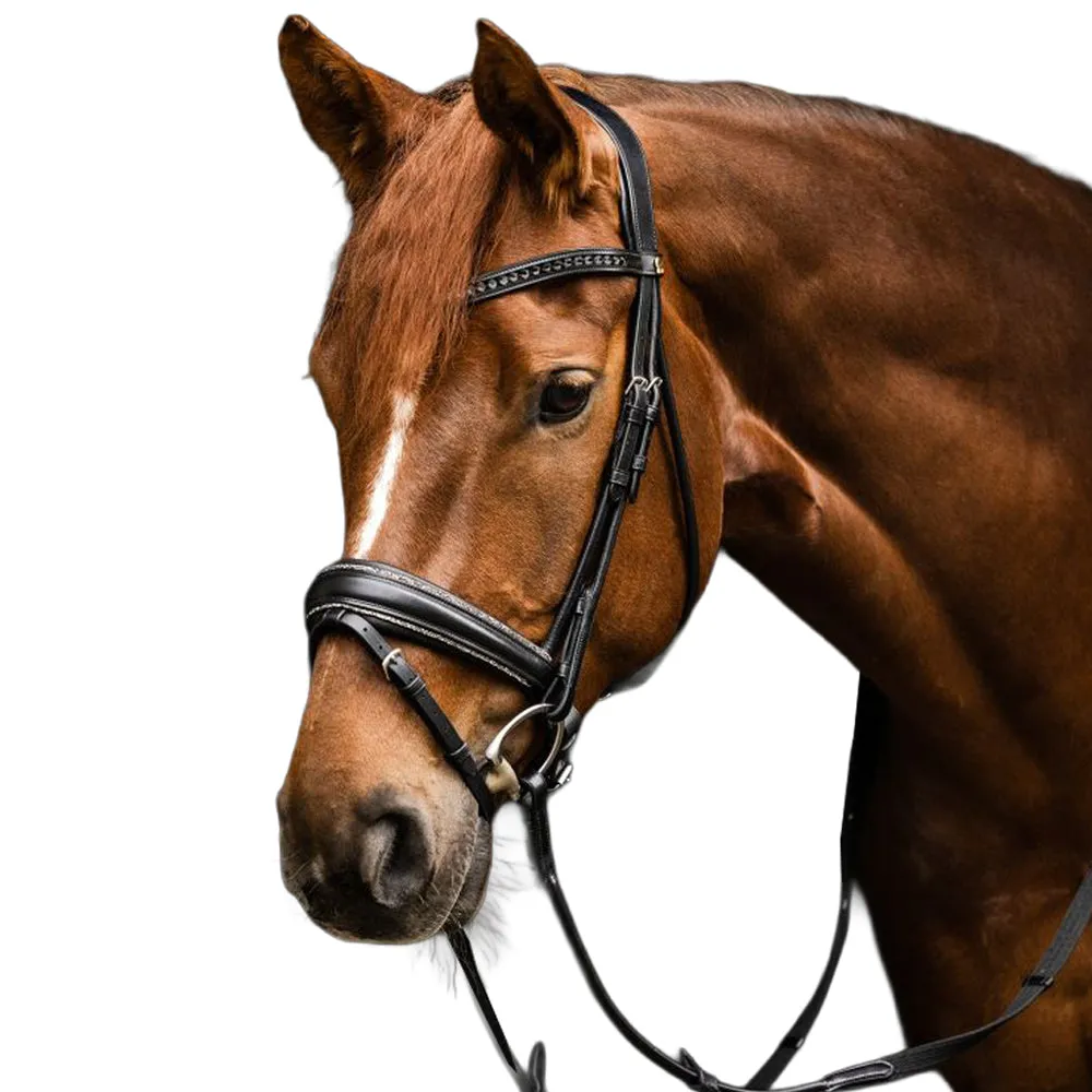 Waldhausen S-Line Glamour Testiera Cavallo Nero Full Pelle