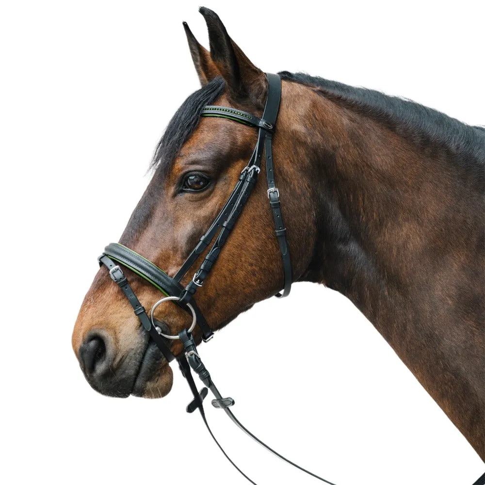 Star Diamond briglia cavallo strass marrone