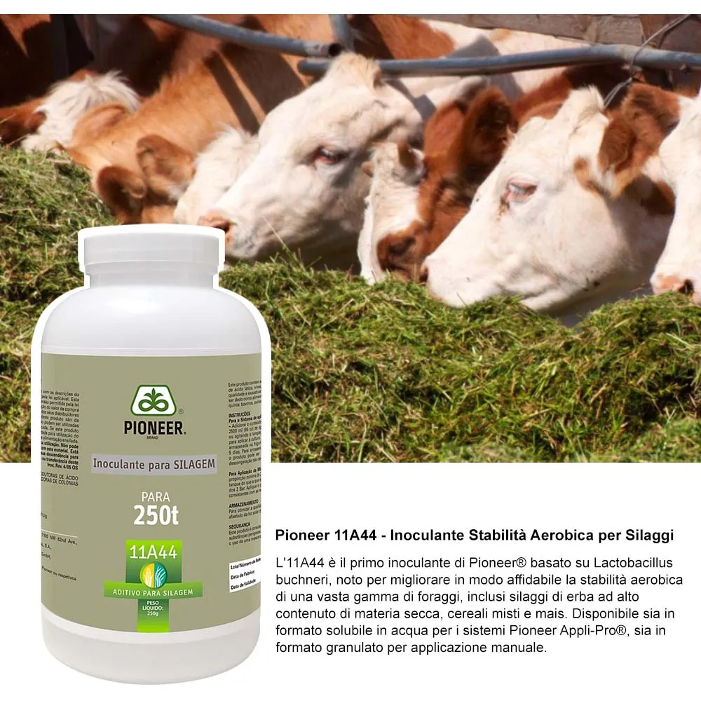 Pioneer 11A44 inoculante per insilato 250g stabilità aerobica