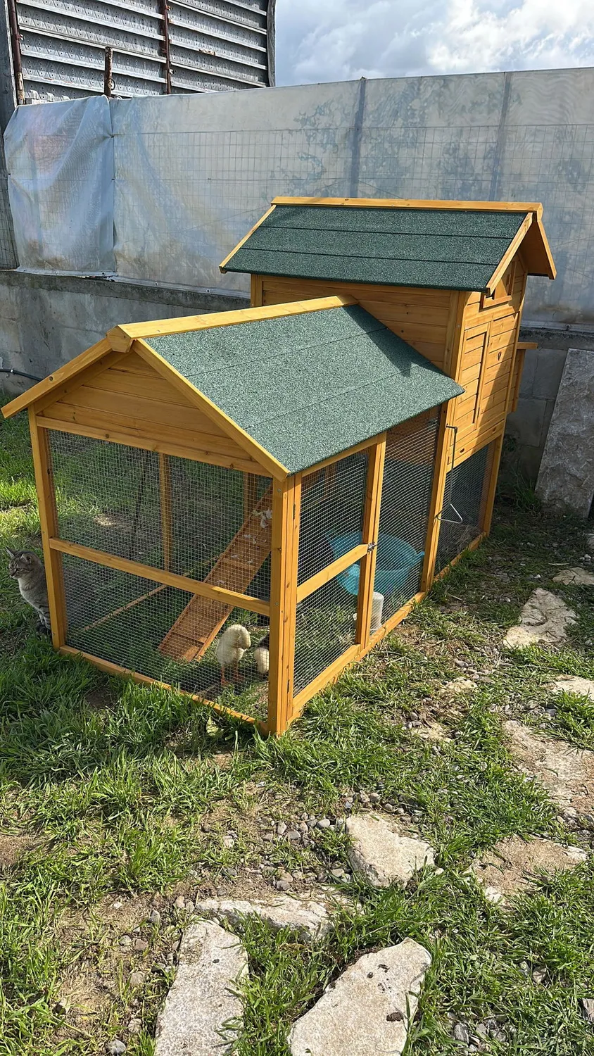 Il Verde Mondo Padovana XXL Pollaio Legno 6-8 Galline