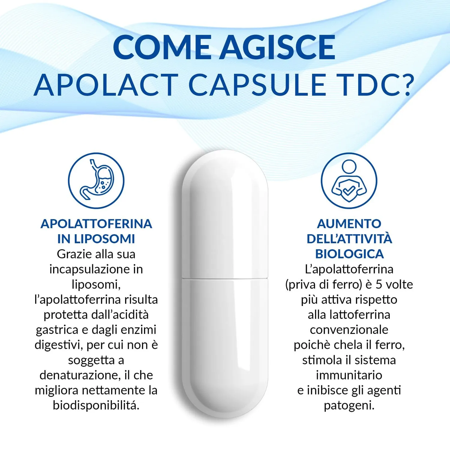 Terra Di Cuma Apolact TDC Integratore Apo-Lattoferrina Liposomi