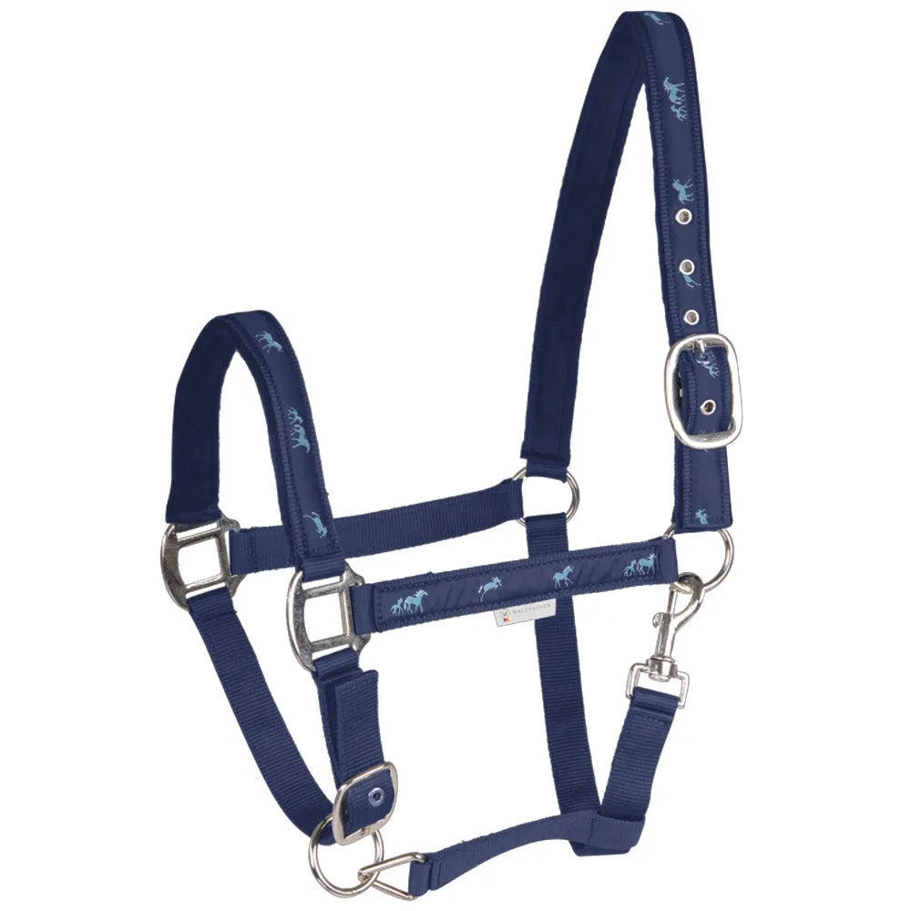 Pferdchen cavezza cavallo imbottita nera regolabile Full
