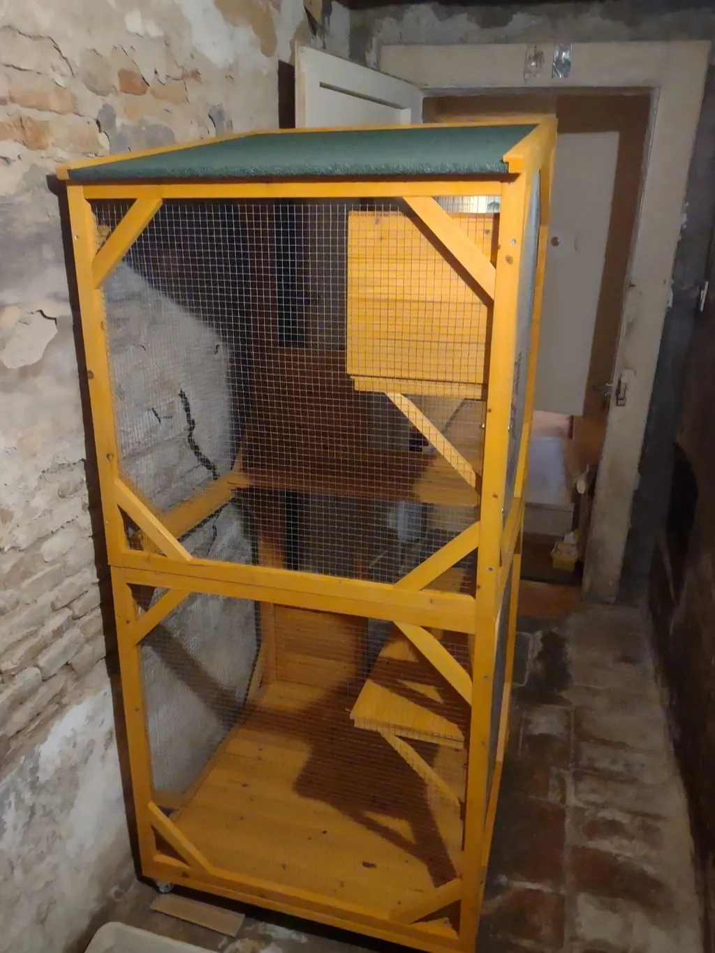 Il Verde Mondo Minou cuccia gatti esterno 80x86x180