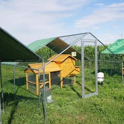 Il Verde Mondo Padovana Kit Pollaio 2x4 m Recinto e Accessori