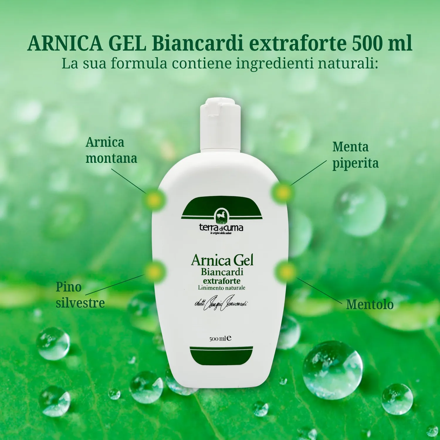 Terra di Cuma Arnica Gel Biancardi Extraforte 500 ml