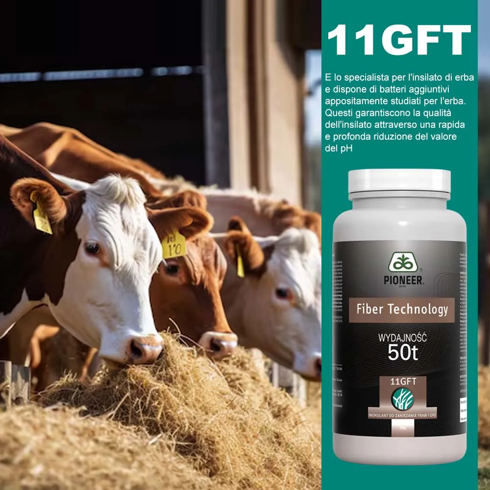 Pioneer 11GFT additivo per insilato erba 50 g 50 t