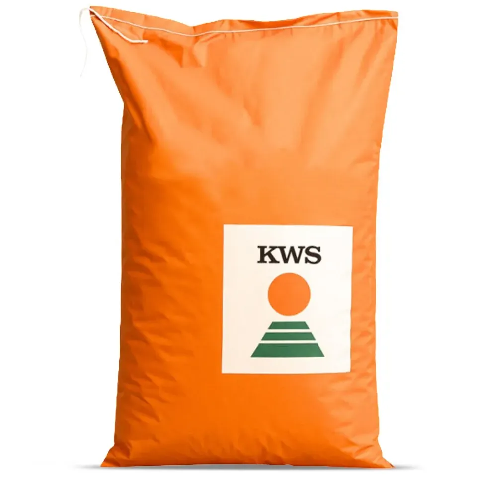 KWS Johaninio Initio Seme mais doppio uso resistente freddo