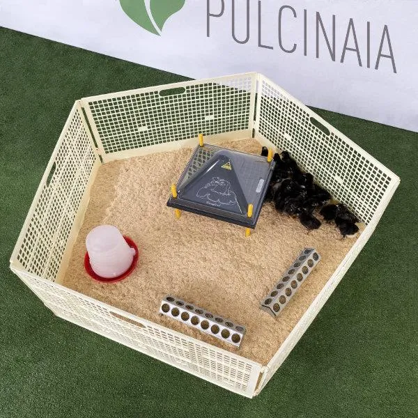 Il Verde Mondo Pulcinaia Svezzamento 30 Pulcini Kit Completo