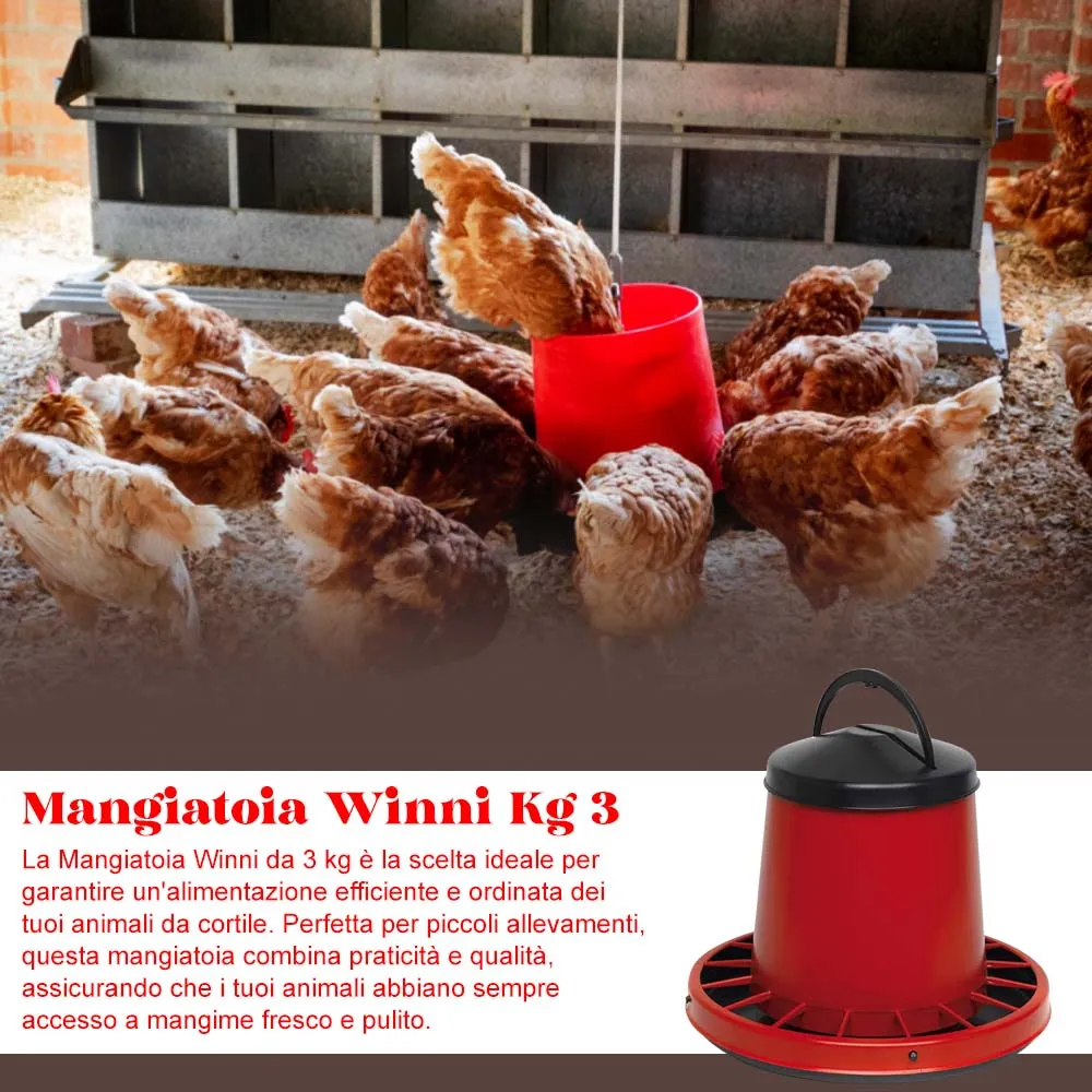 Beikircher Grünland Winni Mangiatoia Polli 3kg
