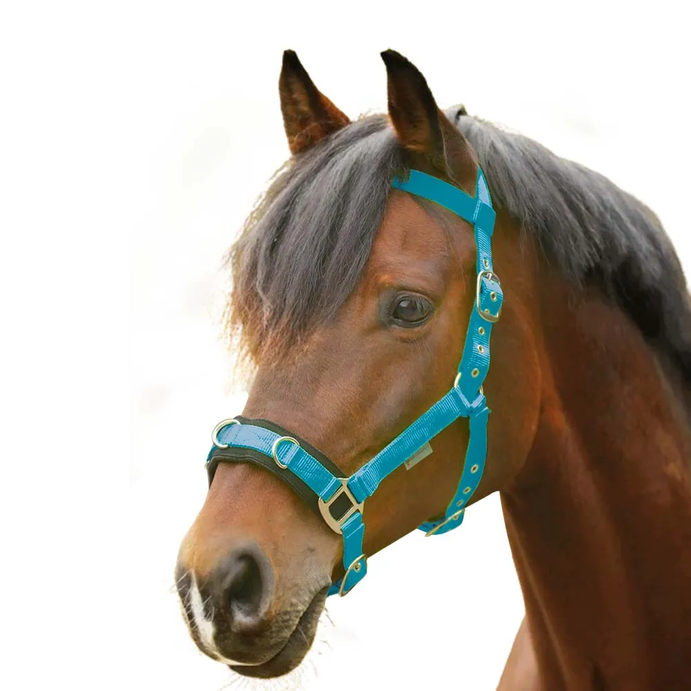 Beikircher Grünland cavezza pony nylon nera imbottita
