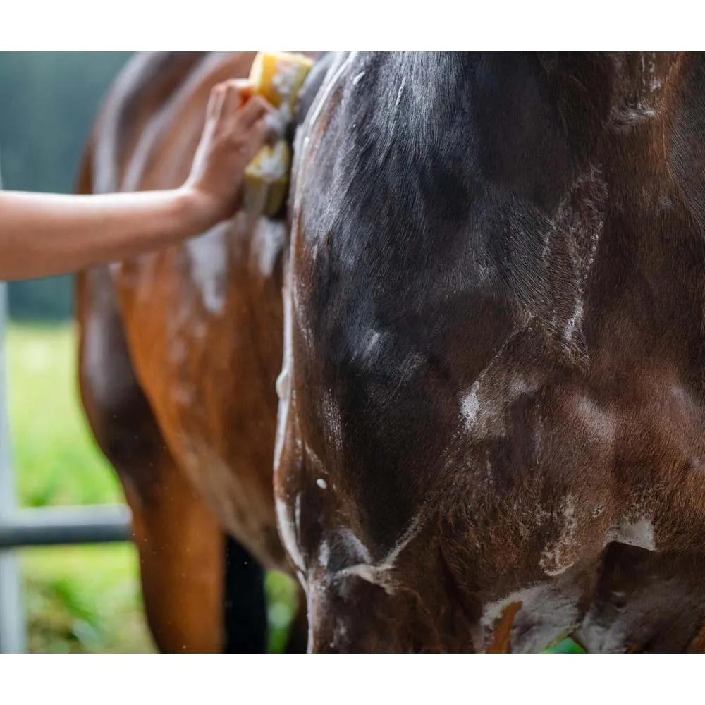 Shampoo Cavalli Olio di Roccia Tirolese Idratazione Manto