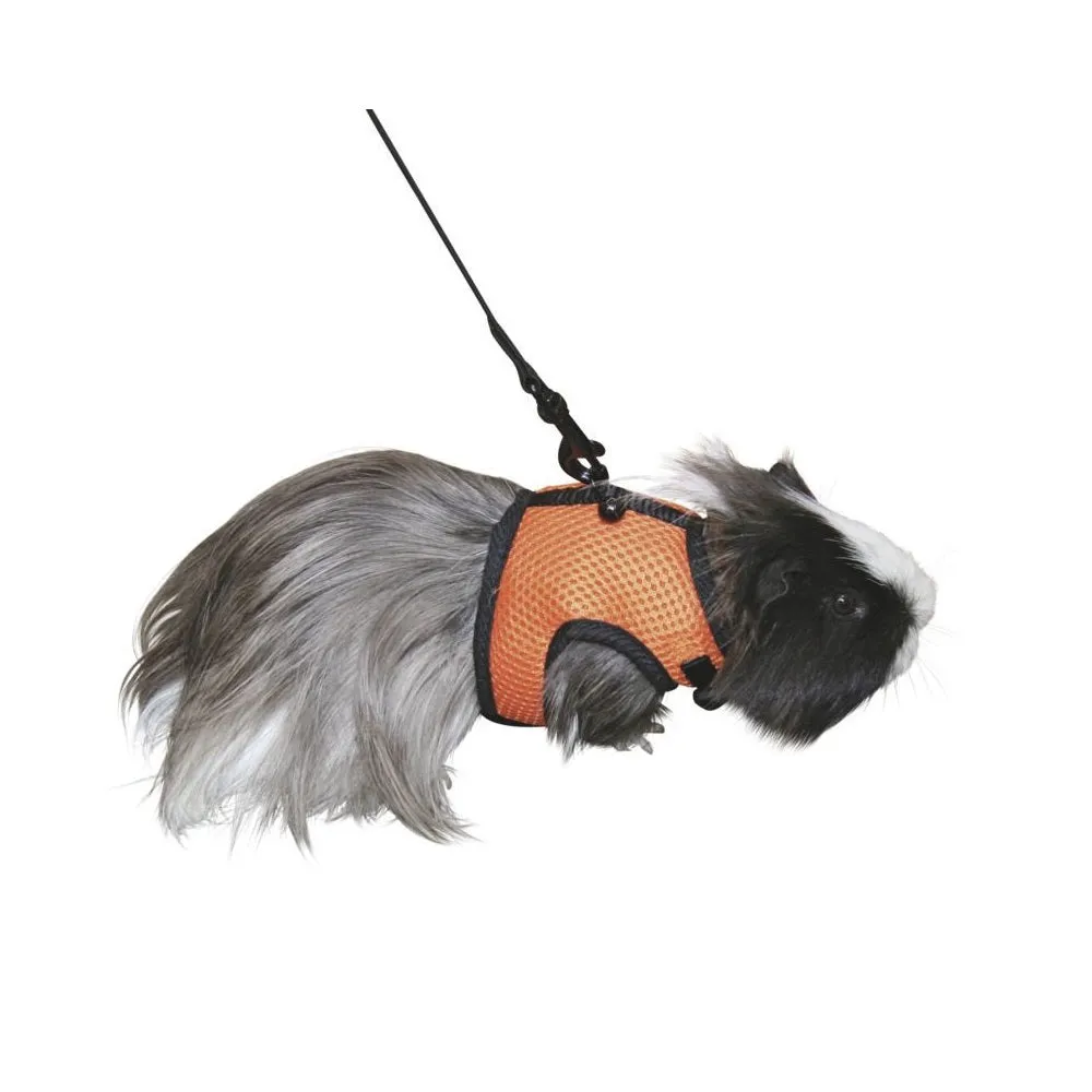 Beikircher Sport pettorina roditori 120 cm arancione 14-18 cm