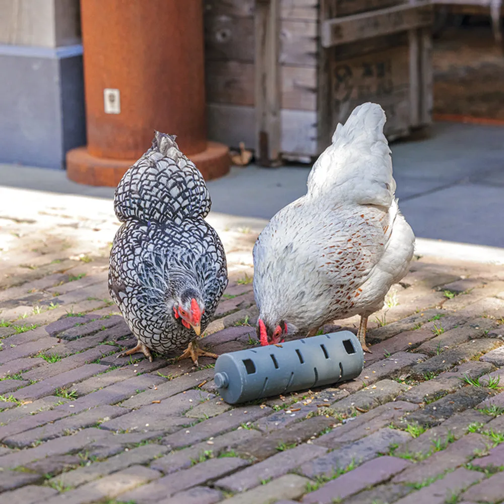Beikircher Snack Roll mangiatoia gioco per galline riciclata