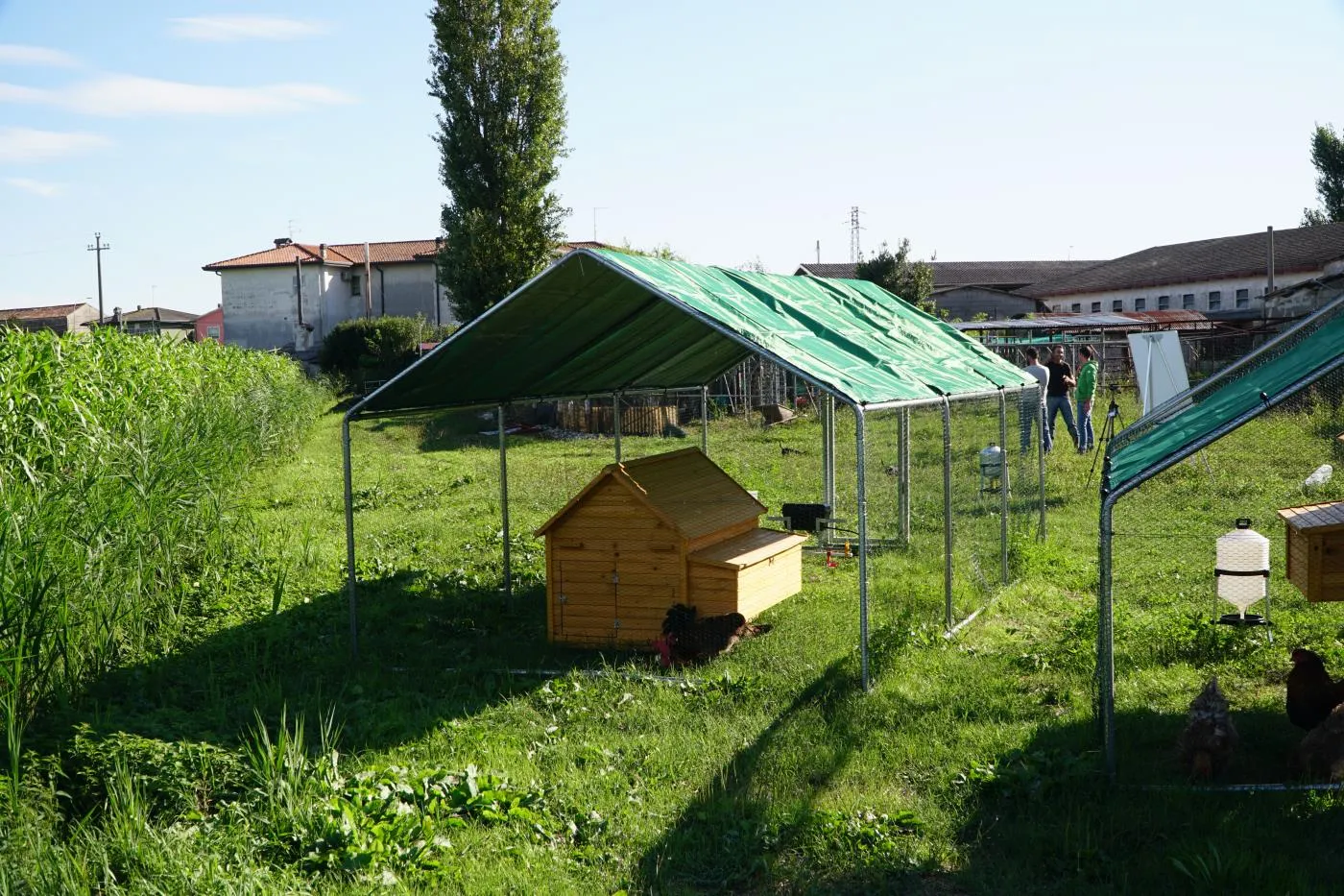 Il Verde Mondo Cocincina Antipredatore Plus kit pollaio 6x3