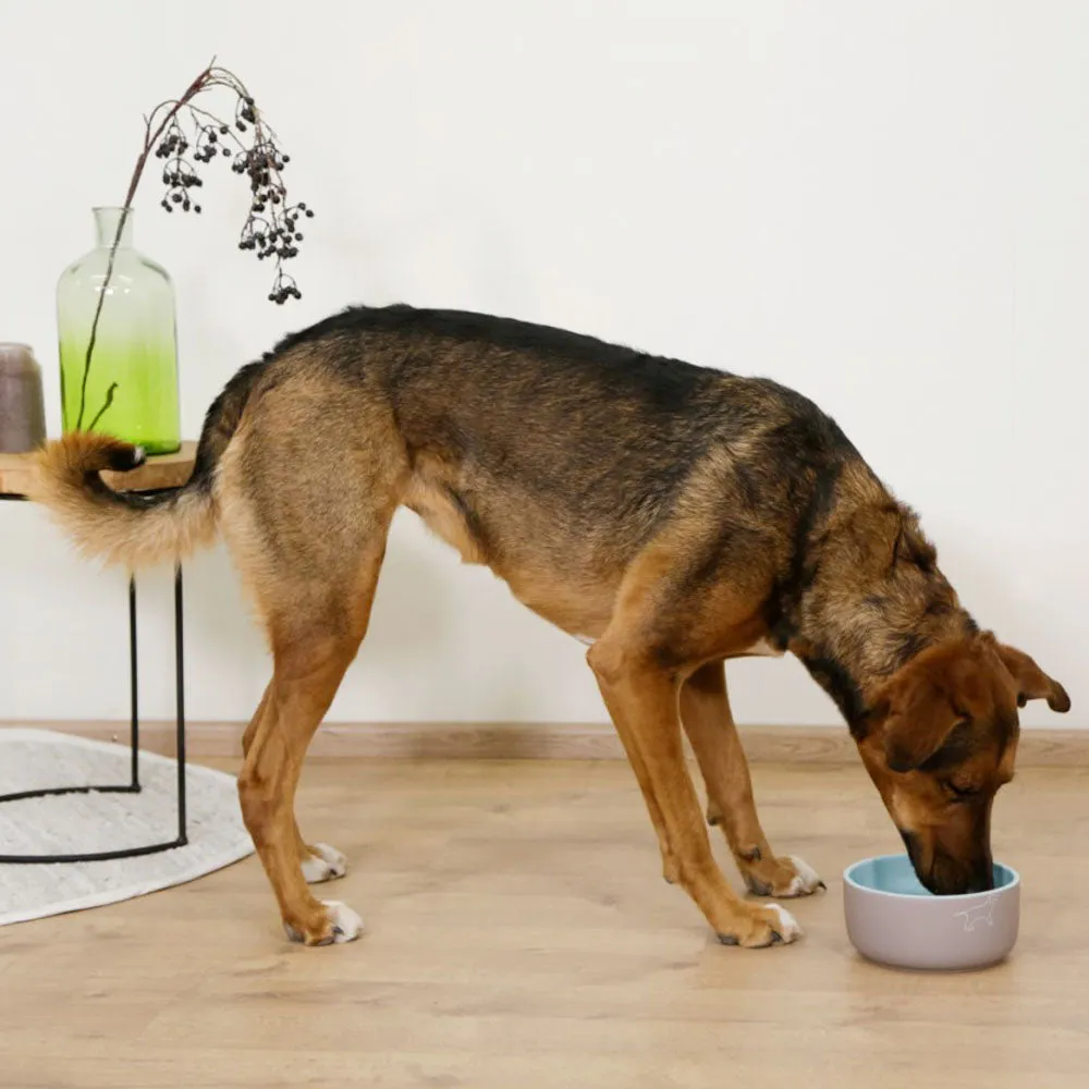Beikircher Grünland Spirit ciotola cane ceramica fantasia