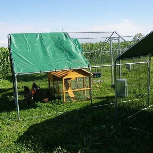 Il Verde Mondo Padovana Plus Kit Pollaio Telo 2x4 m con Abbeveratoio