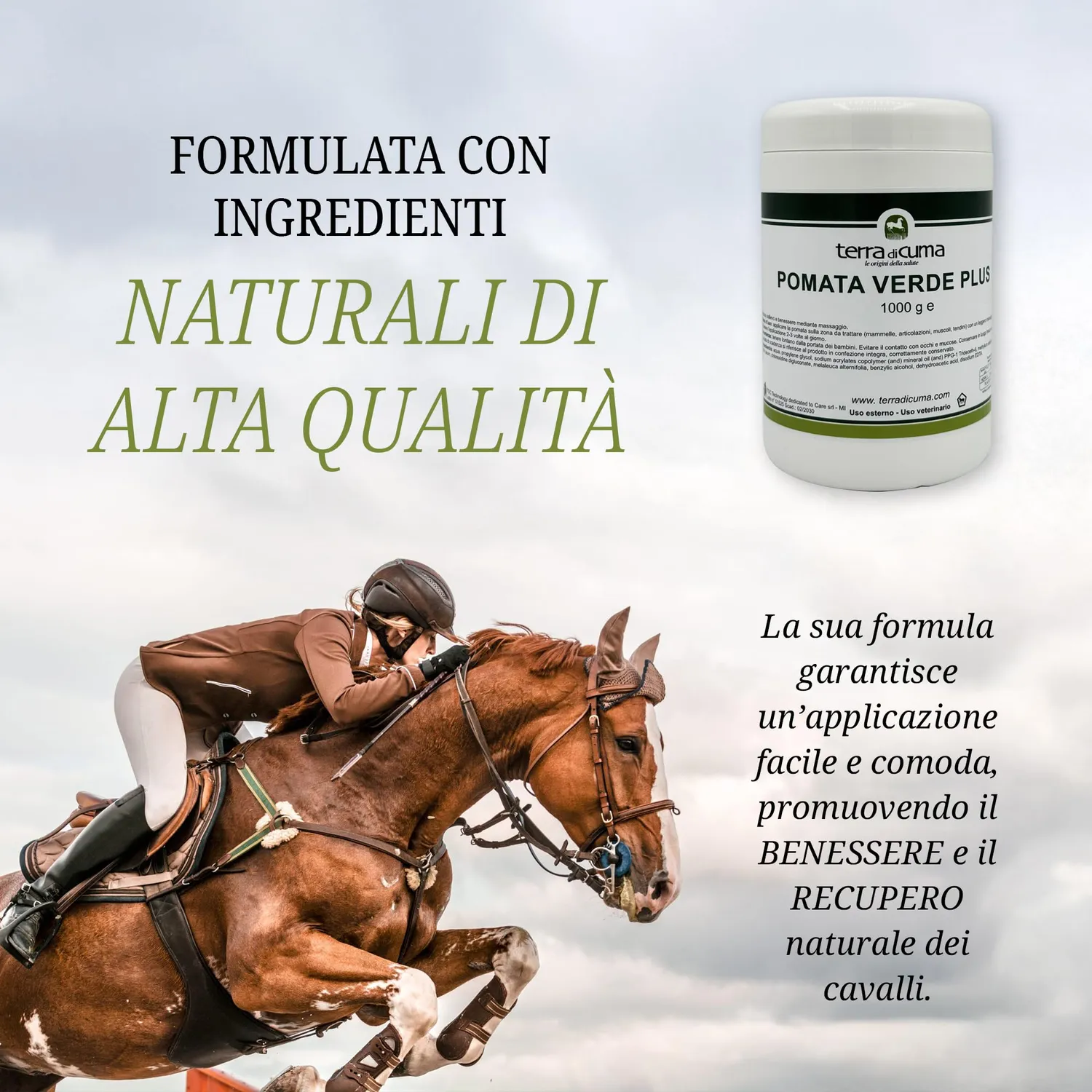 Terra di Cuma Pomata Verde Plus Cavalli 1 Kg Lenitiva