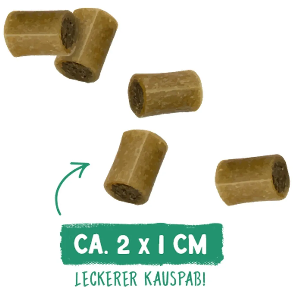 Sammy's Joint Support premi cani 350g articolazioni