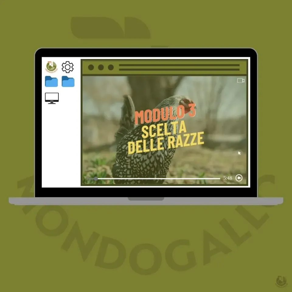 Il Verde Mondo Modulo 3 video corso scelta razze pollaio