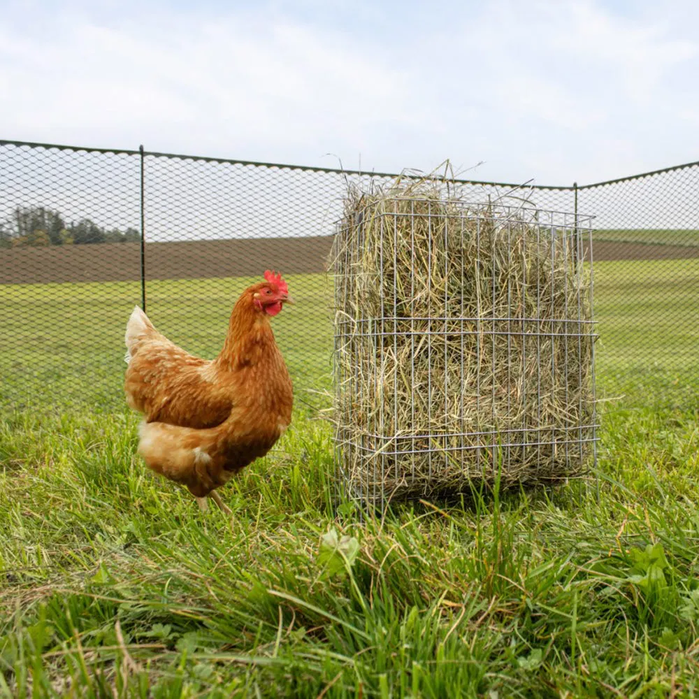 Beikircher Grünland rastrelliera fieno pollaio e piccoli animali