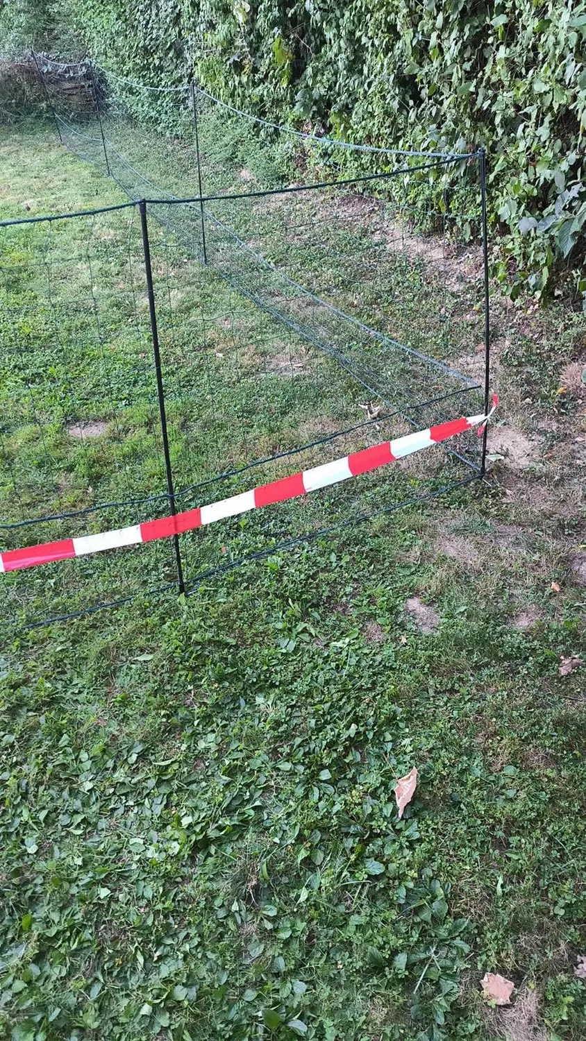 VOSS.farming farmNET rete pollame 50 m 135 cm verde