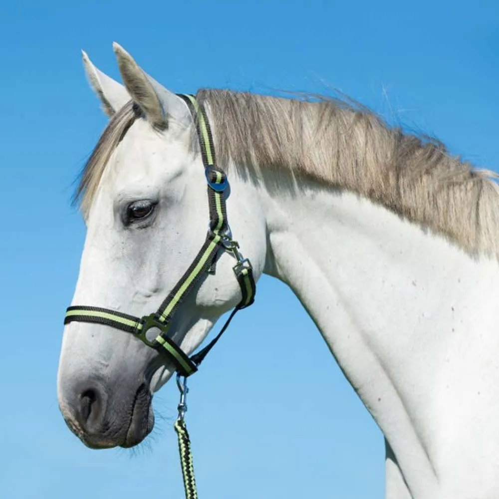 Hippo lunghina cavallo 200 cm treccia morbida
