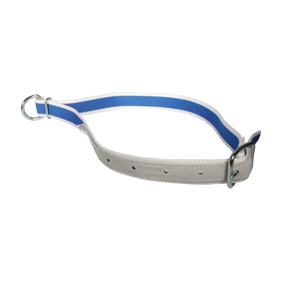 HB 101 Collare nylon bovini 1,3m blu ricambio